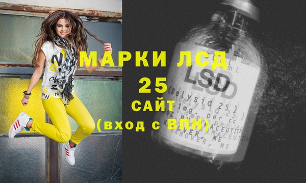 крисы Алзамай