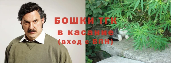 крисы Алзамай