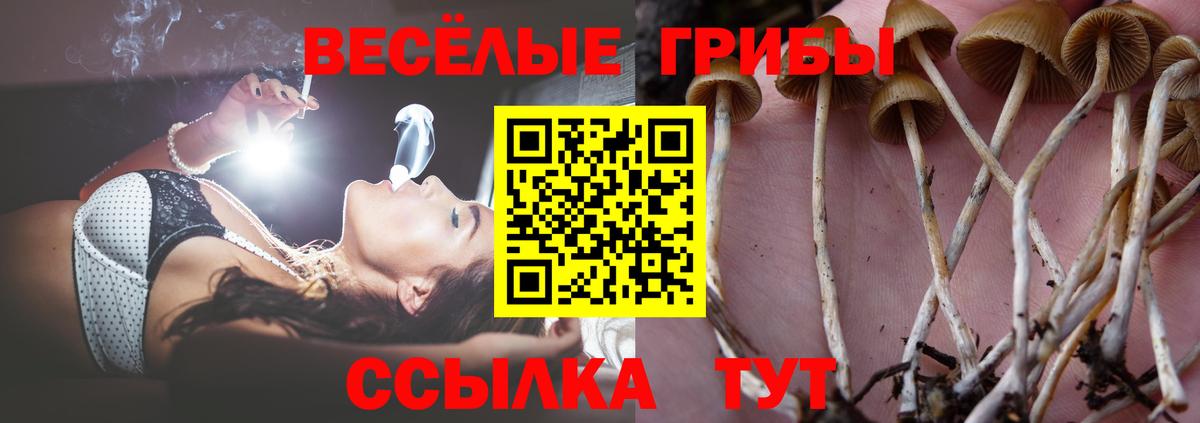Псилоцибиновые грибы Cubensis  Вход с VPN  Морозовск 