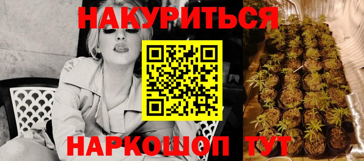 Каннабис индика Морозовск